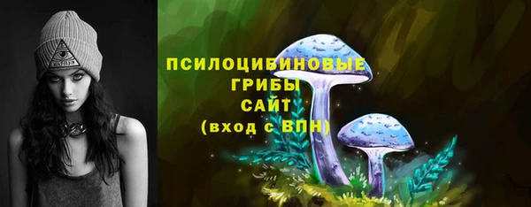 дживик Михайловка