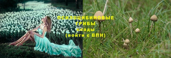 дживик Михайлов