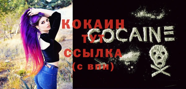 дживик Михайловск