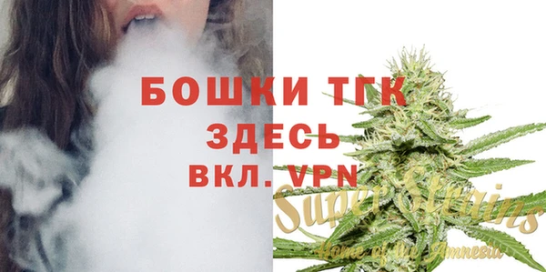 дживик Михайлов