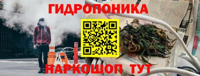прущие грибы Славгород