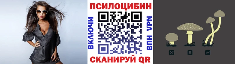 Псилоцибиновые грибы GOLDEN TEACHER  Черемхово 
