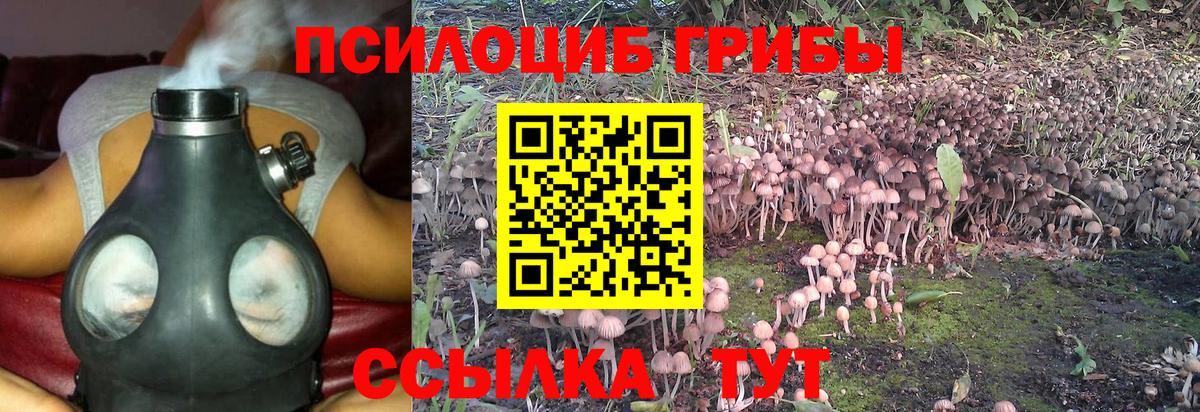 Галлюциногенные грибы мухоморы  Вход с VPN  Черемхово  наркошоп  Псилоцибиновые грибы Cubensis 